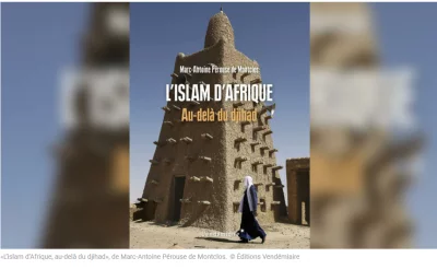 RFI, Marc-Antoine Pérouse de Montclos «<small class="fine d-inline"> </small>L'islam d'Afrique, au-delà du djihad<small class="fine d-inline"> </small>»