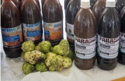 Interview de Véronique Duchesne dans le Monde Afrique du 06/02/2026