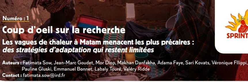 Coup d'oeil sur la recherche à Matam (Sénégal) - Les vagues de chaleur à Matam menacent les plus précaires : des stratégies d'adaptation qui restent limitées