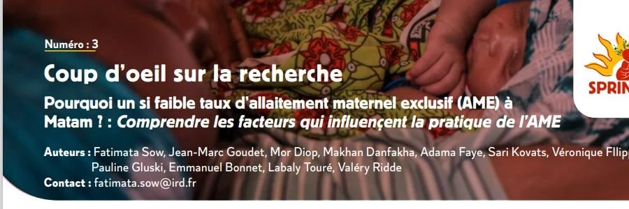Coup d'oeil sur la recherche à Matam (Sénégal) - Pourquoi un si faible taux d'allaitement maternel exclusif (AME) à Matam<small class="fine d-inline"> </small>? : Comprendre les facteurs qui influencent la pratique de l'AME