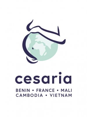 CESARIA • Determinants of caesarean section : a multicenter study (Benin, Cambodia, France, Mali, Viet Nam) 