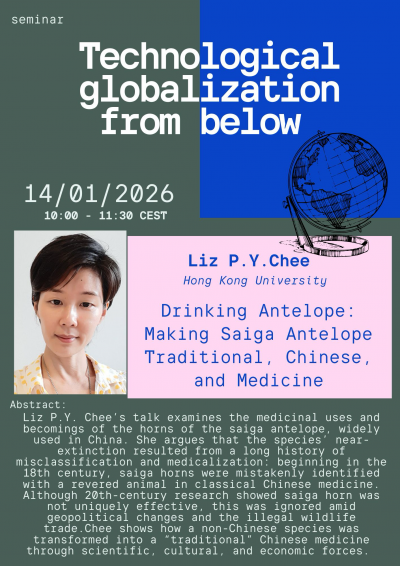 Liz Chee at the Technoglob Seminar